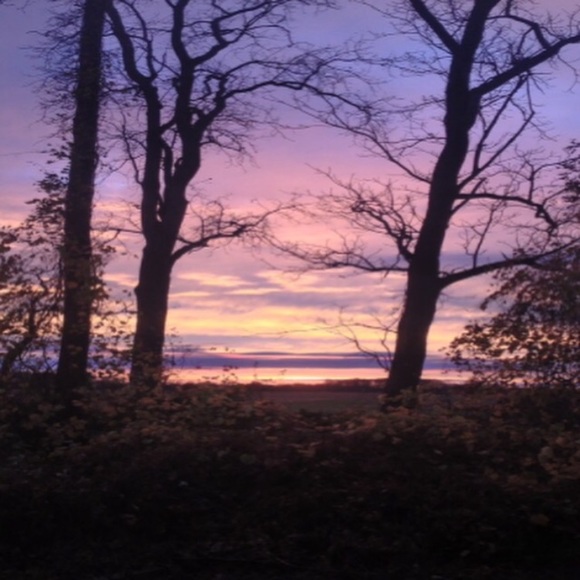 Meet the posher! - Picture 1 of 1